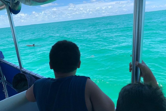 Key West Dolphin Watch and Snorkel Tour - Eco Adventure - Is $79.95 a fair price?