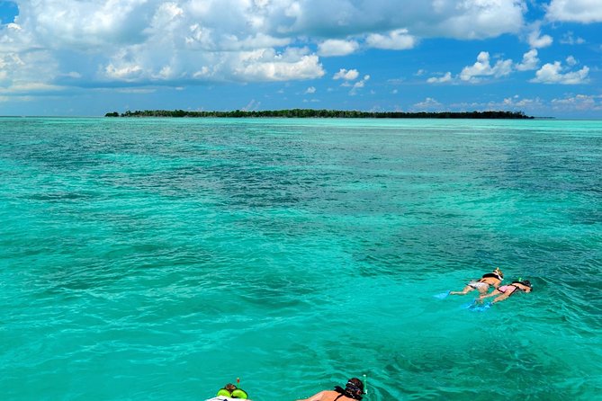 Key West Dolphin Watch and Snorkel Tour - Eco Adventure - Snorkeling the Gulf backcountry