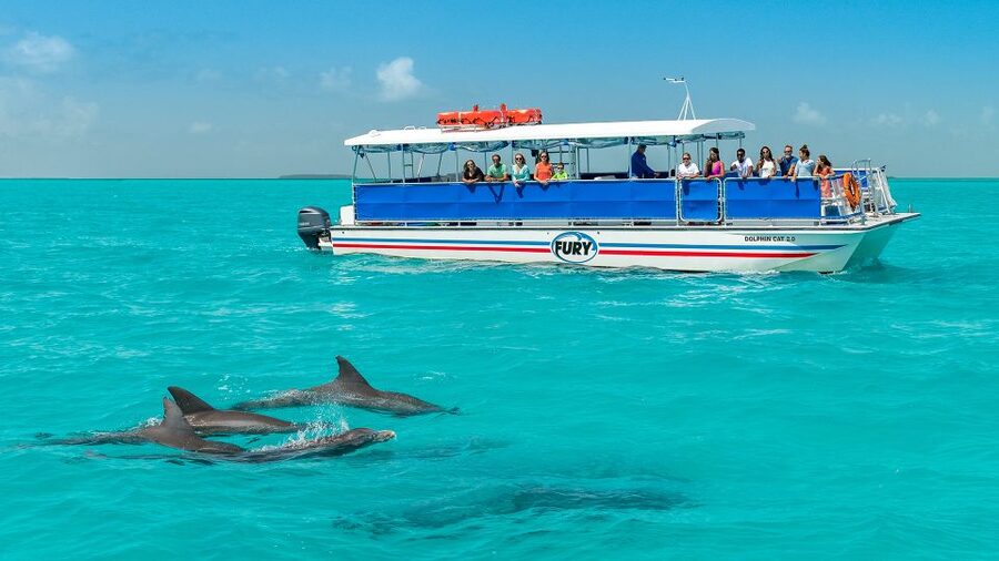 Key West: Dolphin Watching and Snorkeling Eco Cruise Tour - Key points to know before booking
