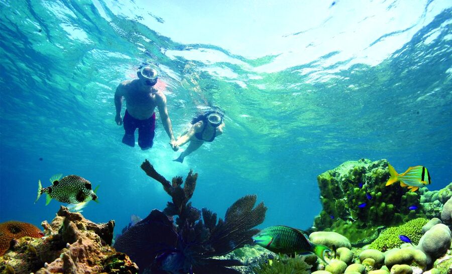 Key West: Dolphin Watching and Snorkeling Eco Cruise Tour - A three-hour Key West outing with two different moods