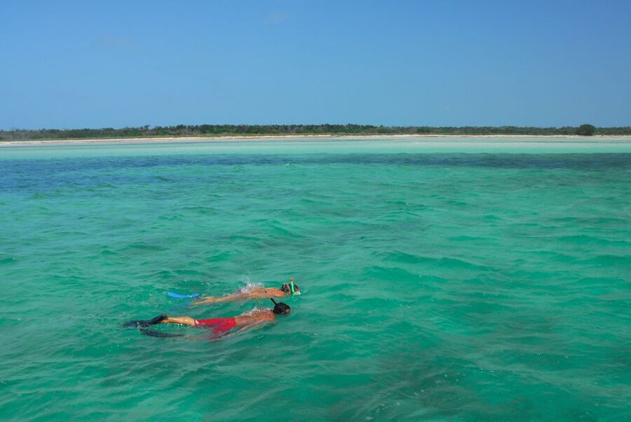 Key West: Dolphin Watching and Snorkeling Eco Cruise Tour - Snorkeling in the Key West Wildlife Refuge