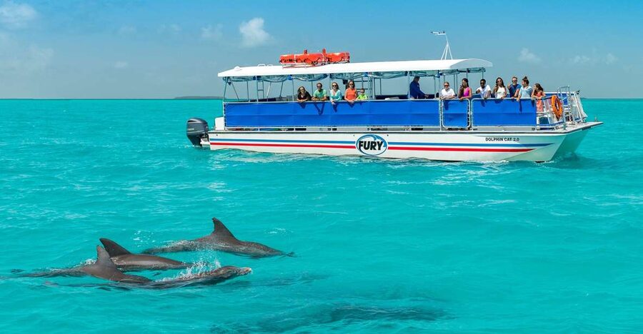Key West: Dolphin Watching and Snorkeling Eco Cruise Tour - Should you book this Key West dolphin and snorkeling tour?