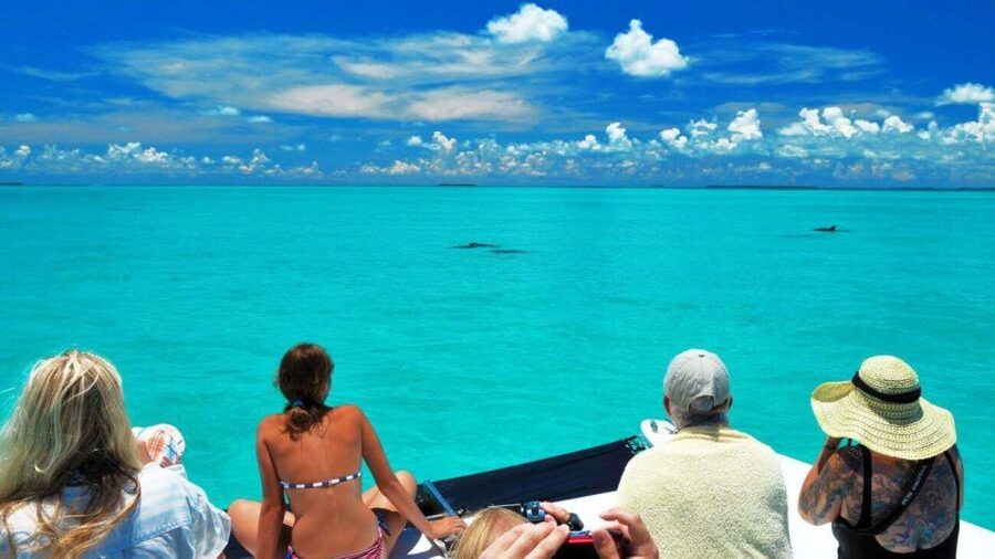Key West: Dolphin Watching and Snorkeling Eco Cruise Tour - Leaving Key West on the 45-foot catamaran