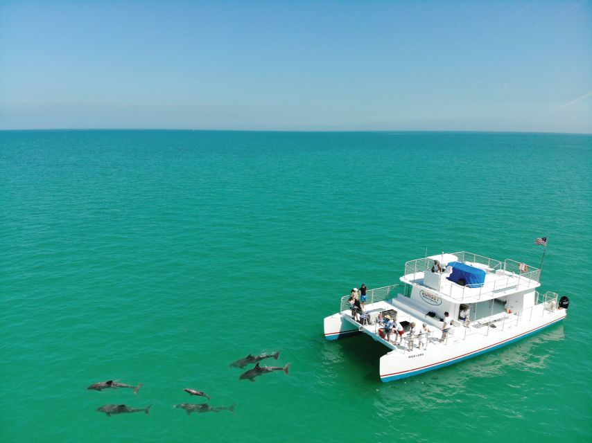 Key West: Dolphin Watching and Snorkeling Sunset Cruise - What snorkeling near Cottrell Key is really like