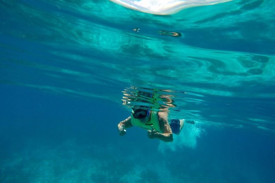 Key West: Dolphin Watching and Snorkeling Sunset Cruise - The crew makes the difference