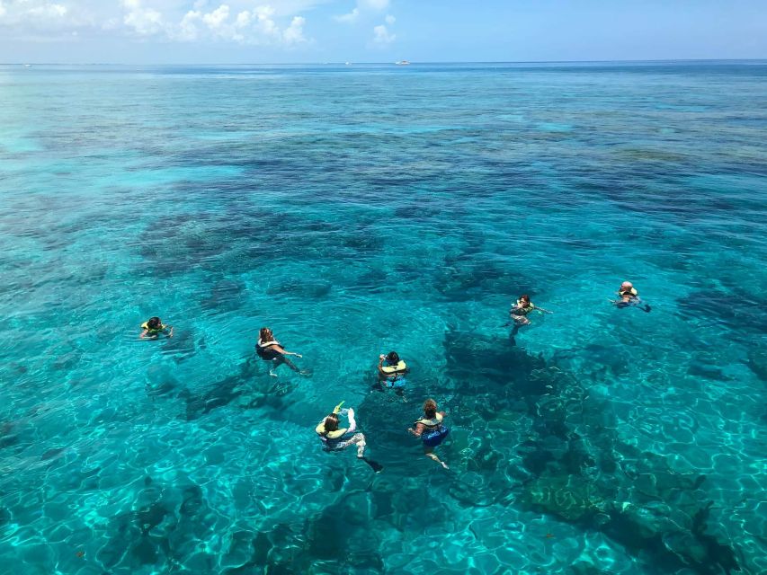 Key West: Dolphin Watching and Snorkeling Sunset Cruise - Who should book this Key West cruise?