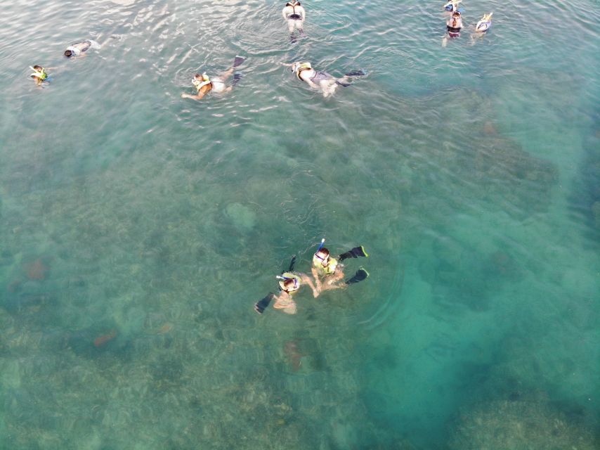 Key West: Dolphin Watching and Snorkeling Sunset Cruise - Should you book the Sunset One?