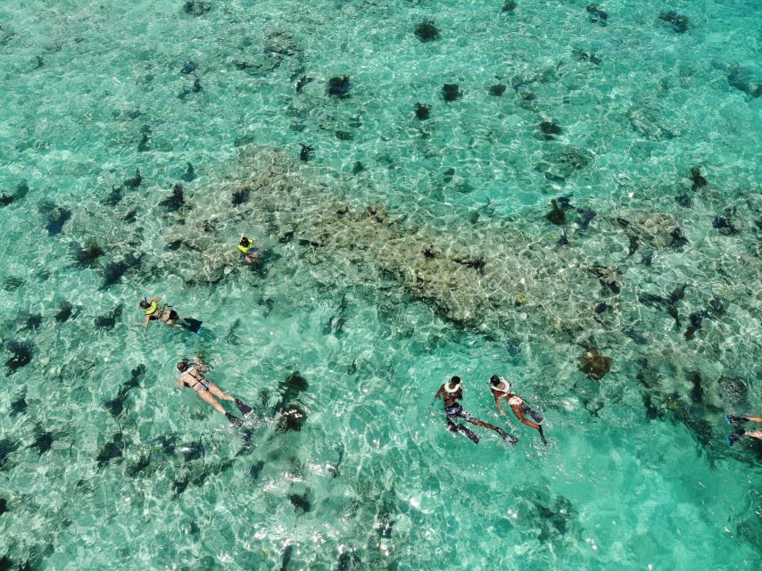Key West: Dolphin Watching and Snorkeling Sunset Cruise - A look at the three-hour route