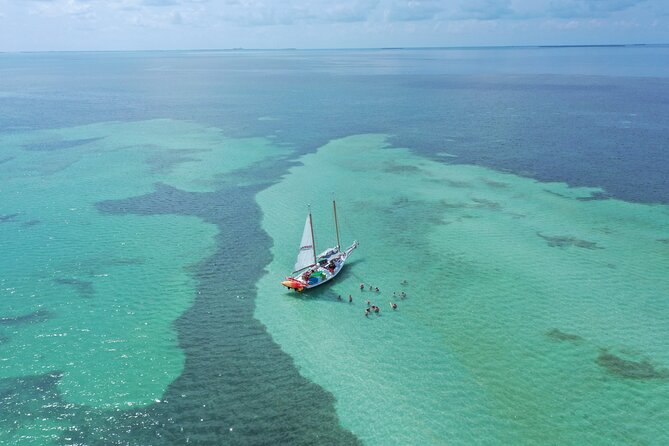 Key West Full-Day Ocean Adventure: Kayak, Snorkel, Sail - Kayaking beneath the mangrove canopy