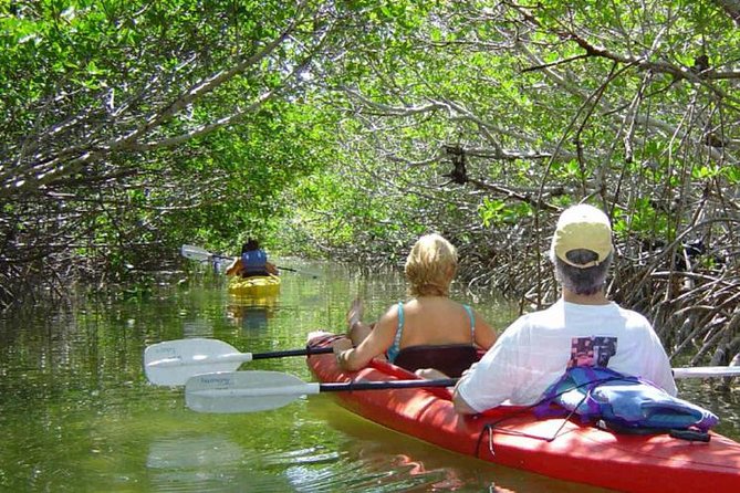Key West Mangrove Kayak Eco Tour - Key points before you book