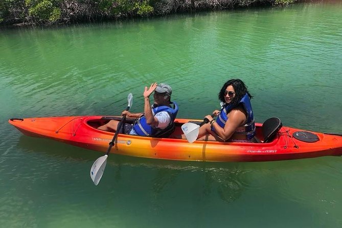 Key West Mangrove Kayak Eco Tour - Why the mangroves make this more than a paddle