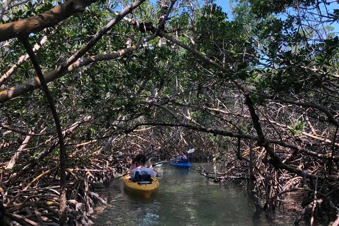 Key West Mangrove Kayak Eco Tour - Is two hours the right length?