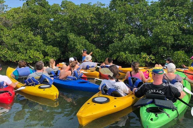 Key West Mangrove Kayak Eco Tour - Does the $80 price make sense?