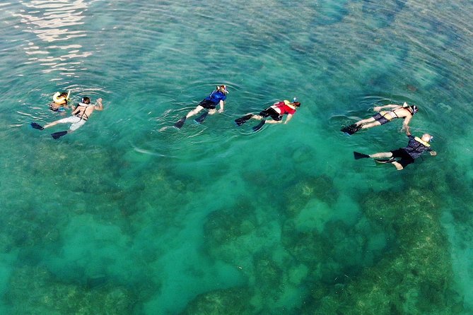 Key West Reef Morning Snorkeling with Breakfast and Mimosas - Getting ready to snorkel