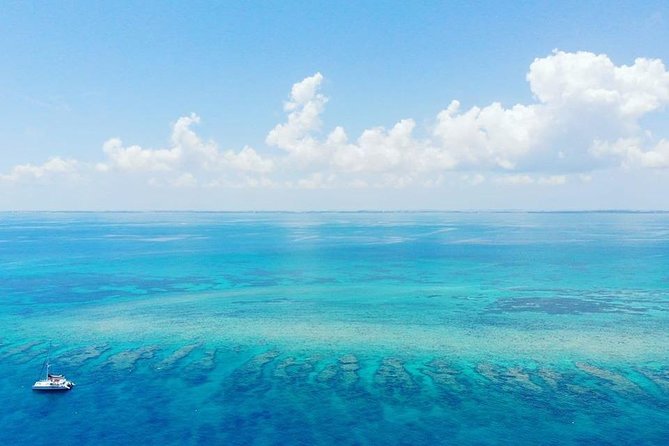 Key West Reef Morning Snorkeling with Breakfast and Mimosas - Is $35 a good value?