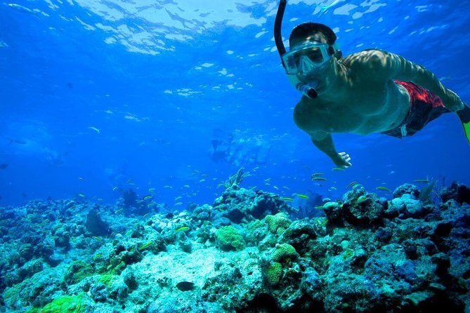Key West Reef Snorkel – Morning Mimosas or Afternoon Margaritas - Getting into the water and snorkeling
