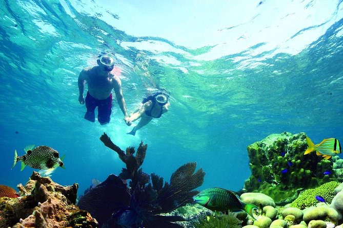 Key West Reef Snorkel – Morning Mimosas or Afternoon Margaritas - Choosing the reef site for the day