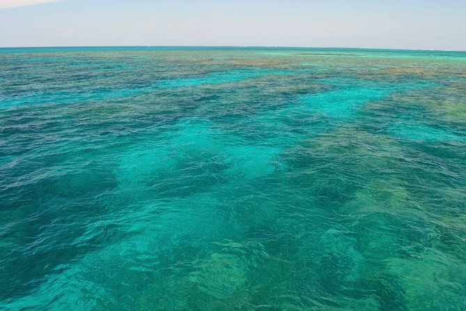 Key West Reef Snorkel & Sail Adventure - Crew help and safety in the water