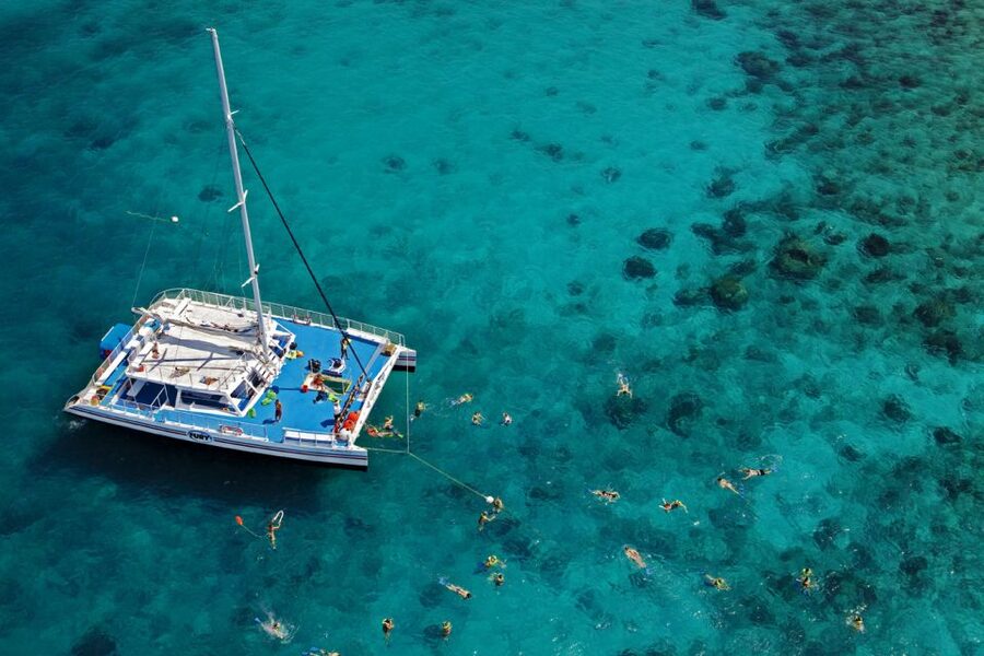 Key West: Reef Snorkeling with Drinks and Sunset Option - What the 30 to 60 minute snorkel is like