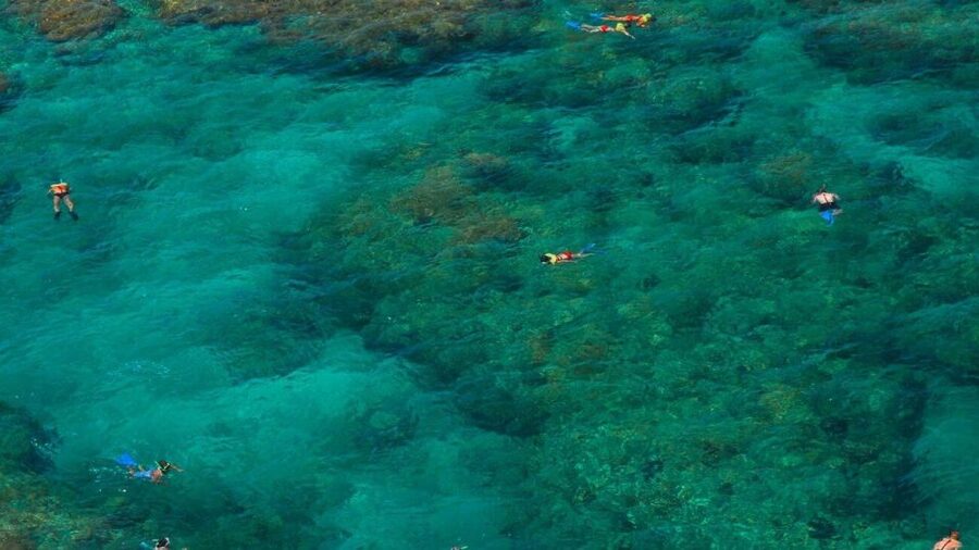 Key West: Reef Snorkeling with Drinks and Sunset Option - The ride out to Key West’s coral reef