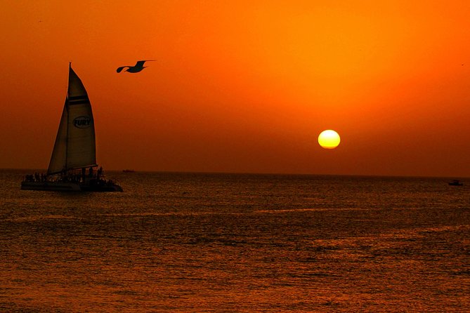 Key West Rum and Reggae: Reef Snorkel Adventure and Sunset Sail - From Front Street to Key West’s coral reef