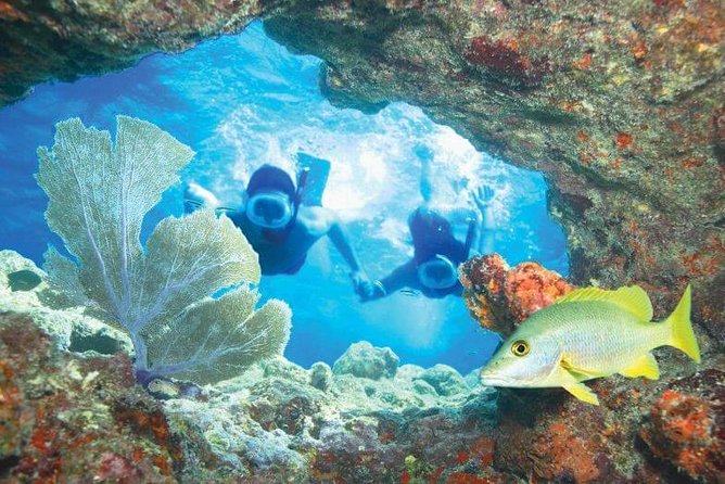 Key West Rum and Reggae: Reef Snorkel Adventure and Sunset Sail - Who will enjoy this outing most