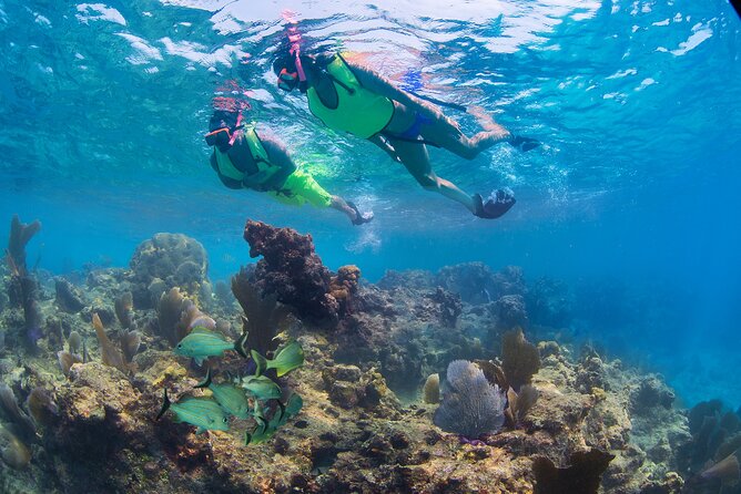 Key West Rum and Reggae: Reef Snorkel Adventure and Sunset Sail - Weather, cancellations, and practical timing
