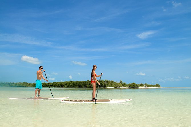 Key West's Island Adventure Sandbar Tour with Kayaking - How much value do you get for $119.95?