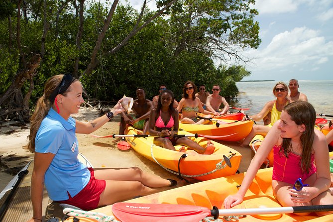 Key West's Island Adventure Sandbar Tour with Kayaking - Weather, comfort, and practical limits