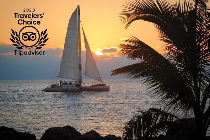 Key West Sunset Sail: Dolphin Watching, Wine, and Tapas - Fort Zachary Taylor and the historic shore