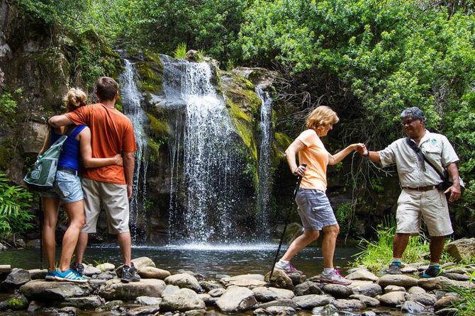 Kohala Waterfalls Small Group Adventure Tour - A picnic overlooking Mokulanikila