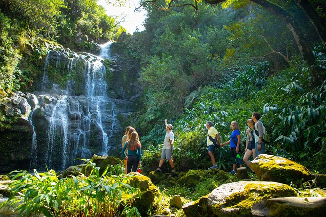 Kohala Waterfalls Small Group Adventure Tour - Walking through private forest and old farm sites