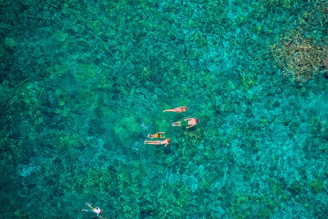 Kona’s Best Morning Snorkel: Captain Cook & Kealakekua Bay - Slides, jumping, and time to relax
