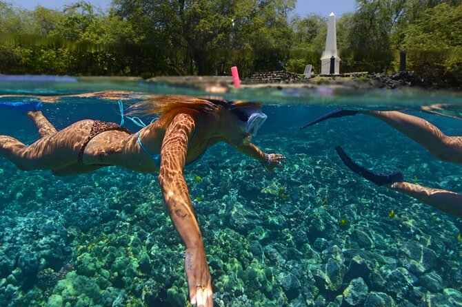Kona’s Best Morning Snorkel: Captain Cook & Kealakekua Bay - Is $193.75 a good value?