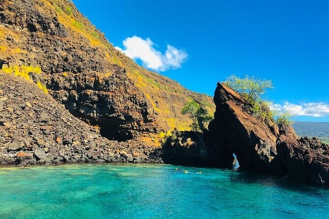 Kona Snorkel Tour: Captain Cook Reef Snorkel, Dolphin & Sea Caves - What the $71.10 price delivers