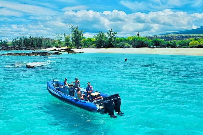 Kona Snorkel Tour: Captain Cook Reef Snorkel, Dolphin & Sea Caves - Who will enjoy this boat trip most
