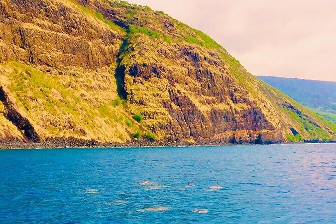 Kona Snorkel Tour: Captain Cook Reef Snorkel, Dolphin & Sea Caves - Meeting up and choosing the right departure