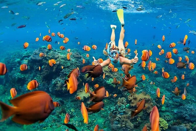Kona Snorkel Tour: Captain Cook Reef Snorkel, Dolphin & Sea Caves - Sea caves, lava tubes, and the ride back