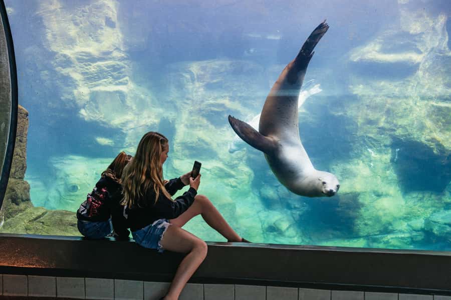 LA: Aquarium of the Pacific Skip-the-Line Entry - Southern California habitats make an easy opening