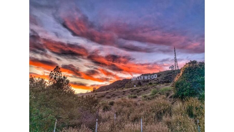 LA: Hollywood Sign Tour with Comedians, Dogs, & Epic Photos - The panoramic views over Los Angeles