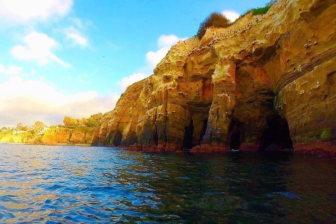 La Jolla Sea Caves Kayak Tour For Two (Tandem Kayak) - Paddling from La Jolla Shores to the sea caves