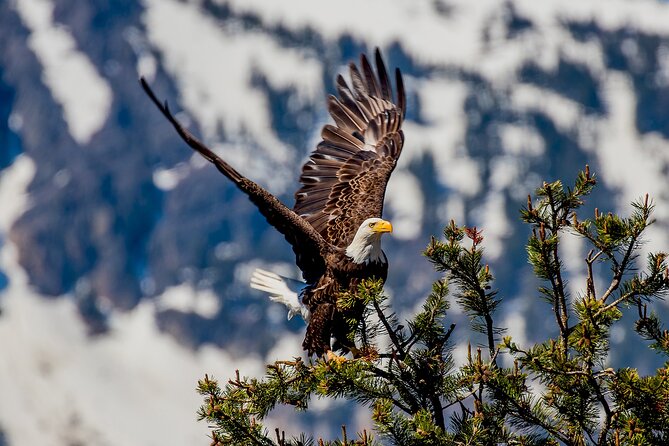 Lake Tahoe Small-Group Photography Scenic Half-Day Tour - Emerald Bay without a rushed stop