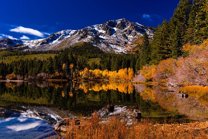 Lake Tahoe Small-Group Photography Scenic Half-Day Tour - The value of $195 per person