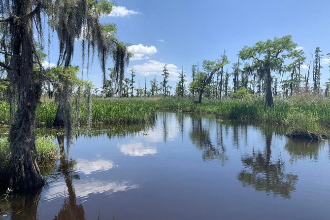 Large Airboat Swamp Tour with Transportation from New Orleans - The Best Time to Go