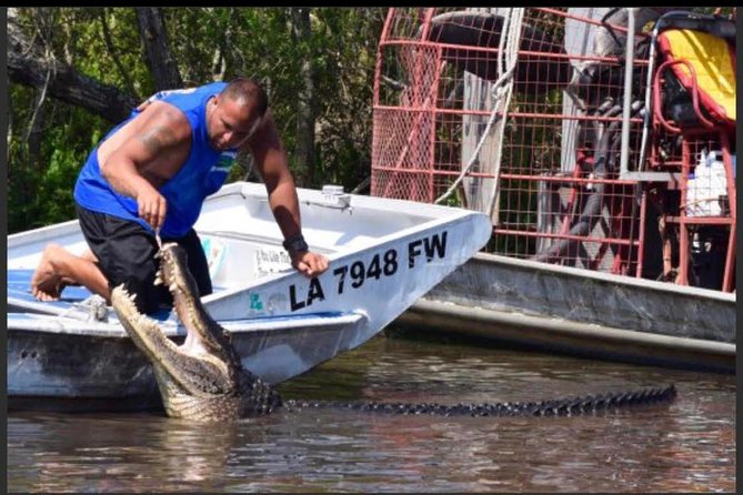 Large Airboat Swamp Tour with Transportation from New Orleans - Pickup Details That Can Save Your Morning