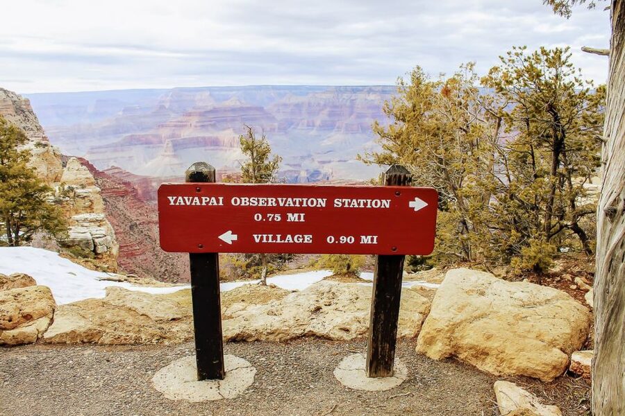 Las Vegas: Grand Canyon National Park South Rim Guided Tour - The Kaibab National Forest signals a change of scenery