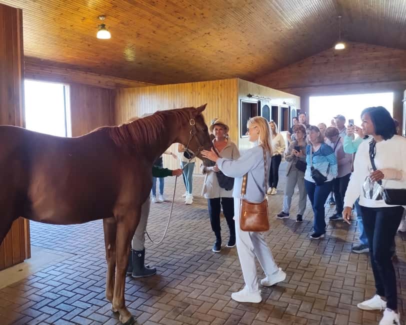 Lexington: Thoroughbred Horse Farm Tour and Scenic Bluegrass - Key points to know before you book