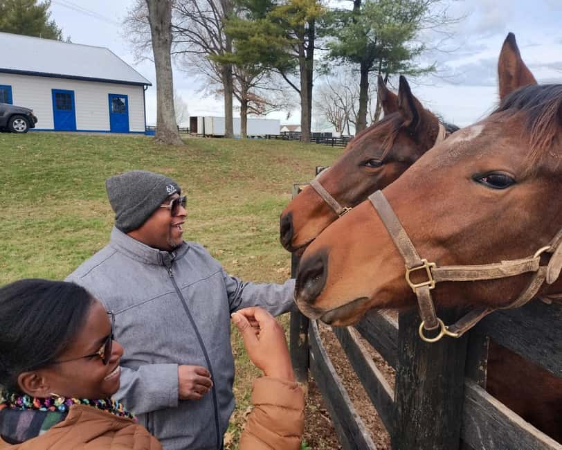 Lexington: Thoroughbred Horse Farm Tour and Scenic Bluegrass - Practical tips for a better visit