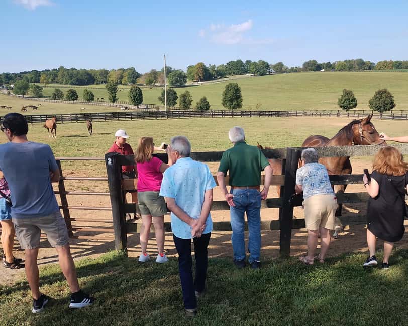 Lexington: Thoroughbred Horse Farm Tour and Scenic Bluegrass - Keeneland: racing history, training, and film locations