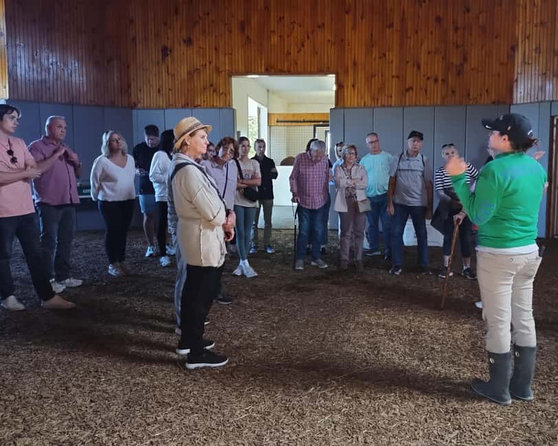 Lexington: Thoroughbred Horse Farm Tour and Scenic Bluegrass - Is $45 a good value for three and a half hours?